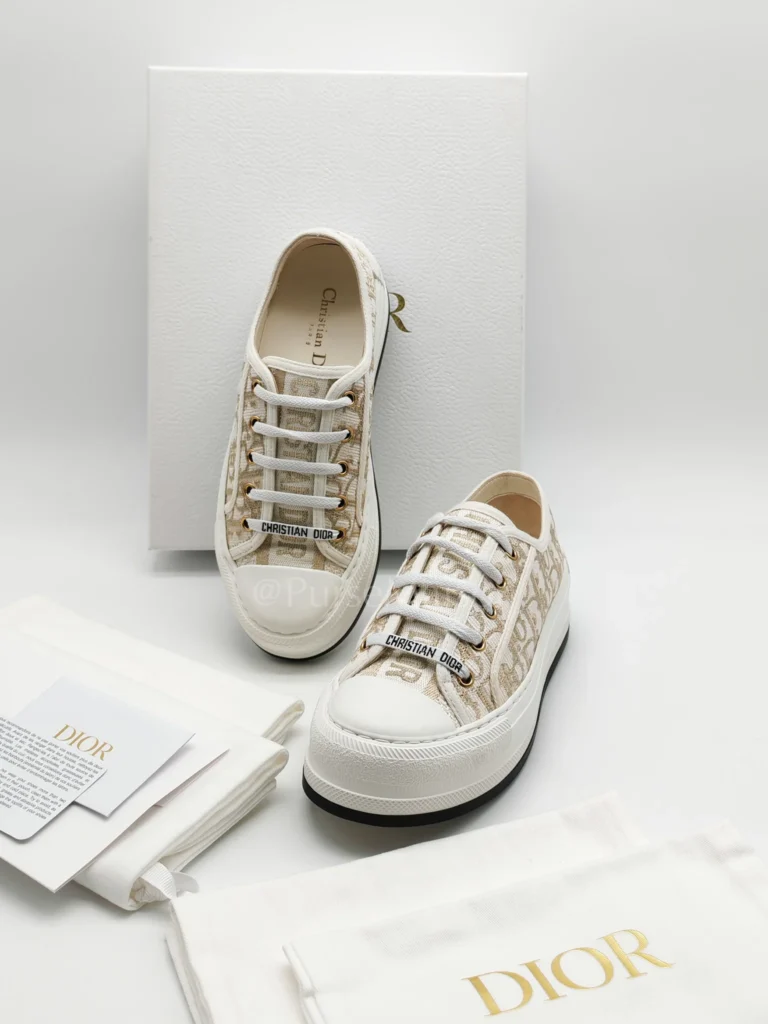 Elegant pair of Christian Dior shoes featuring premium leather craftsmanship and iconic luxury design