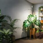 best lights for growing plants indoors with LED grow light over houseplants